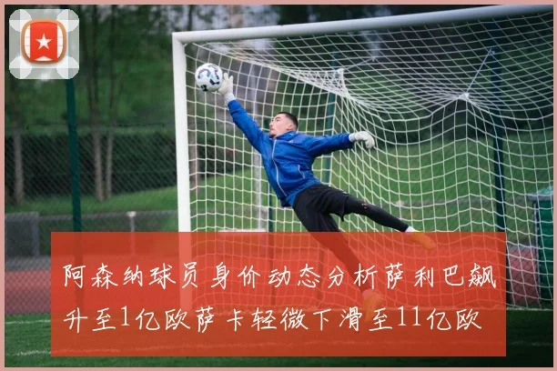 阿森纳球员身价动态分析萨利巴飙升至1亿欧萨卡轻微下滑至11亿欧