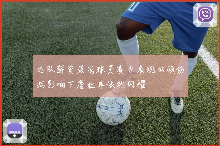 各队薪资最高球员赛季表现回顾伤病影响下詹杜库依然闪耀
