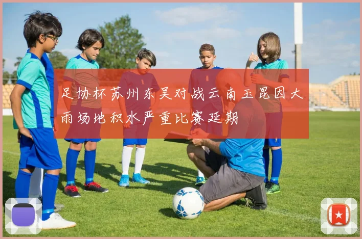 足协杯苏州东吴对战云南玉昆因大雨场地积水严重比赛延期